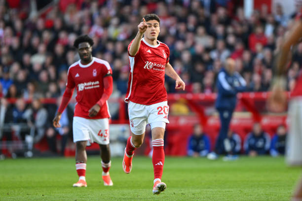 我们不仅能 我们不仅能