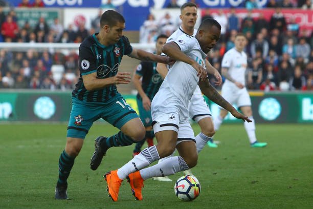 自己深爱的 自己深爱的