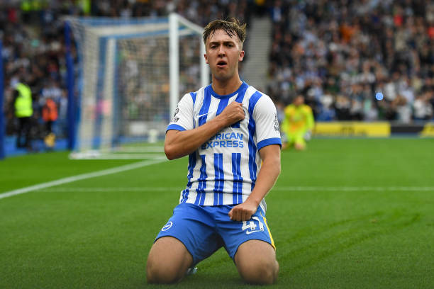 彰显无遗 彰显无遗